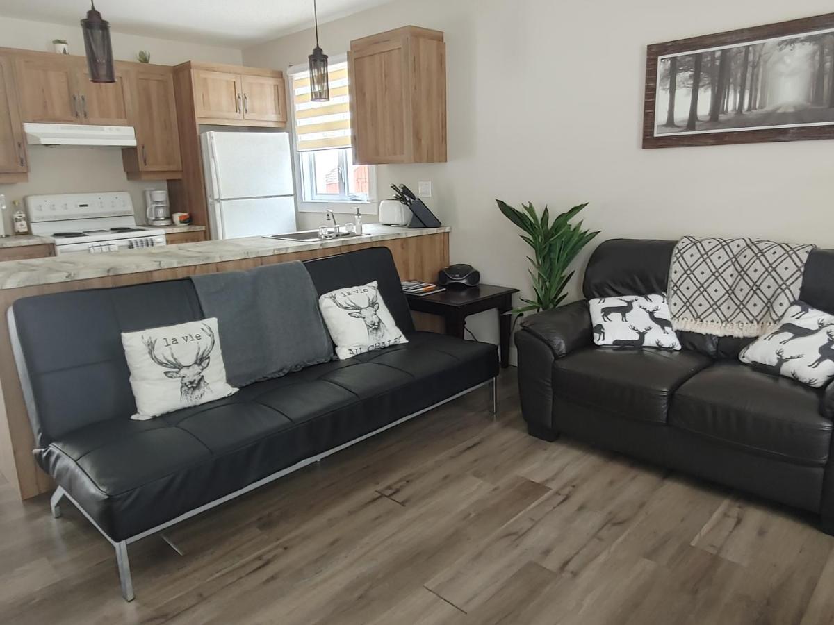 Chalet Mathis Saint-Raymond Εξωτερικό φωτογραφία